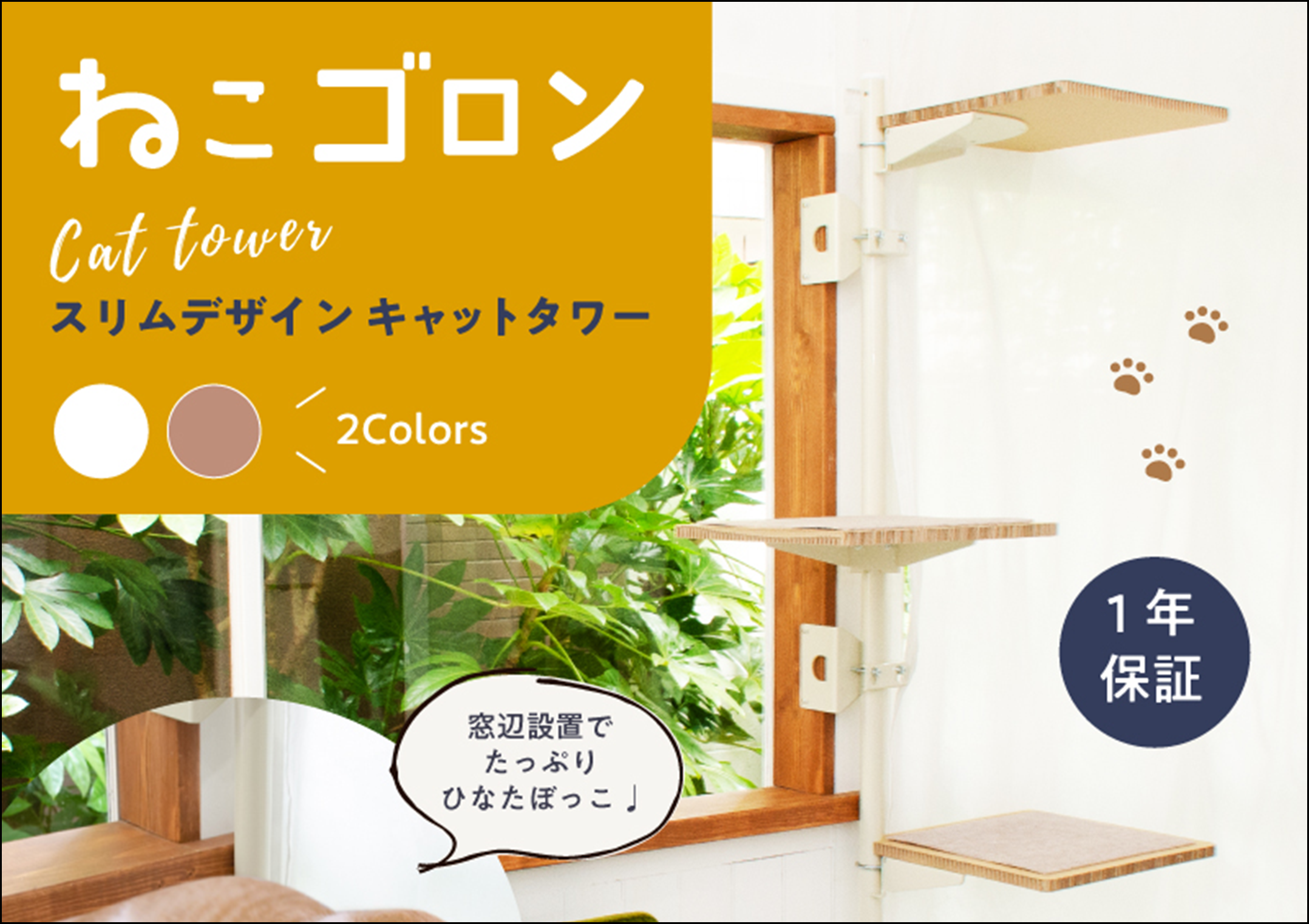 Webから動画